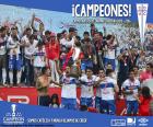 Universidad Católica, campeão de 2016