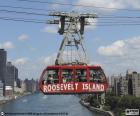 O Teleférico da Ilha Roosevelt é um teleférico situado na cidade de Nova Iorque que liga a Ilha Roosevelt a Manhattan sobre o Rio East