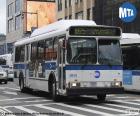 Ônibus urbano de Nova York, MTA New York City Bus atualmente possui uma rede de 200 linhas locais e 40 linhas express