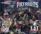 Patriots, Super Bowl 2017