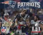 New England Patriots, campeões do Super Bowl 2017 derrotando o Atlanta Falcons 34-28. Esta é sua quinta Super Bowl