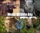 Dia Mundial da Vida Selvagem