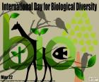 Dia internacional da diversidade biológica