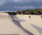 As dunas invadem a estrada, totalmente coberta de areia