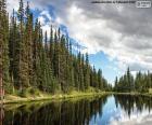 Lago Irene, Estados Unidos