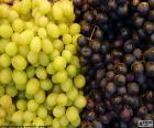 Uvas