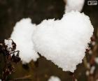 Um lindo coração feito de neve caindo sobre uma flor seca