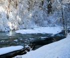 Bela imagem de um rio coberto pela neve no inverno