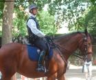 Um agente da polícia metropolitana de Londres, a cavalo