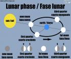 As fases da Lua referem-se à mudança aparente da porção visível iluminada do satélite devido a sua variação da posição em relação à Terra e ao Sol. Lua nova, Quarto crescente, Lua cheia e quarto minguante