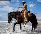 Um cowboy em seu cavalo no mar