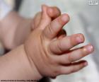Mãos de bebê
