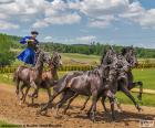 Puszta-ötös é uma atração turística famosa em Hortobágy, Hungria. Um cavaleiro montando dois cavalos e realiza outros três cavalos