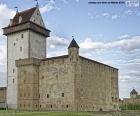 O Castelo de Hermann e Castelo de Narva é um castelo do século XIV, localizado em Narva, nas margens do rio Narva, Estónia