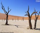 Deadvlei, Namíbia