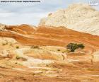 Bela paisagem de um canto do deslumbrante Red Rock Park, uma grande reserva natural localizada no Arizona, EUA