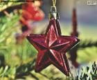 Estrela de Natal