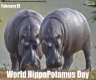 Dia Mundial do Hipopótamo
