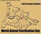 Dia Mundial da Esterilização Animal
