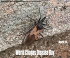 Dia Mundial da Doença de Chagas
