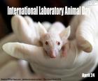 Dia Internacional do Animal do Laboratório, 24 de abril. Todos os anos, mais de 120 milhões de animais passam por testes laboratoriais em todo o mundo