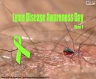 Dia Mundial da Doença de Lyme