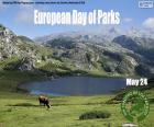 Dia Europeu dos Parques Naturais