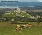 Castelo de Corfe, Inglaterra