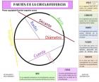 As partes mais importantes de uma circunferência são: raio, diâmetro, corda, secant, tangente, flecha e arco