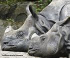 Dois rinocerontes descansando