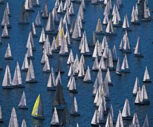 Puzle Regata de Vela