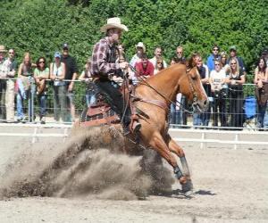 Puzle Reining Andar - Western - Ride Cowboy