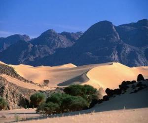 Puzle Reservas Naturais do Ar e Tenere, Niger