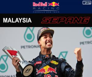 Puzle Ricciardo, GP da Malásia de 2016