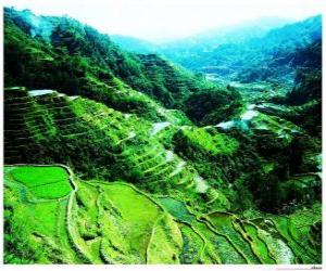 Puzle Rice Terraces da Cordilheira Filipinas