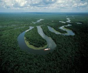 Puzle Rio Amazonas, no Complexo de Conservação da Amazônia Central, Brasil