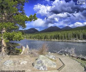 Puzle Rio Colorado, Estados Unidos