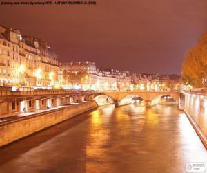 Puzle Rio Sena, à noite, Paris