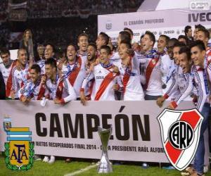 Puzle River Plate, campeão Torneo Final Argentinan 2014