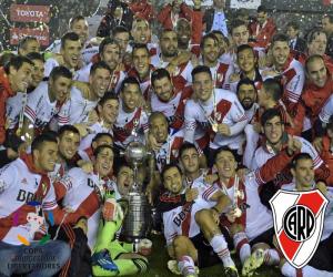 Puzle River Plate Copa Libertadores 2015