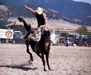 Puzle Rodeo - Cavaleiro na prova do cavalo com sela, cavalgando um cavalo selvagem