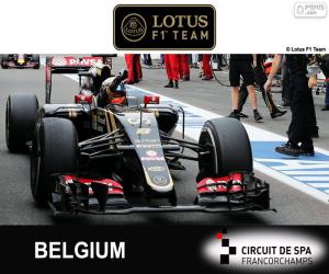Puzle Romain Grosjean, GP Bélgica 2015