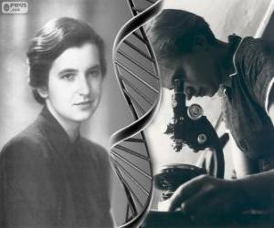 Puzle Rosalind Franklin (1920-1958), pioneira na pesquisa de DNA