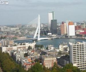 Puzle Rotterdam, Países Baixos