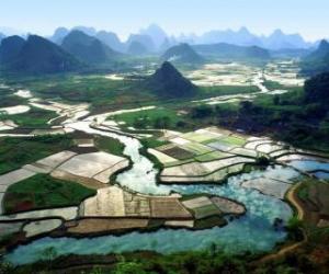 Puzle Rural da China, os campos do rio e do arroz