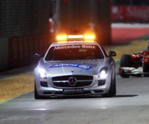 Puzle Safety car - Singapore 2010