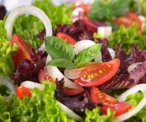 Puzle Salada