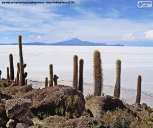 Puzle Salar de Uyuni, Bolívia