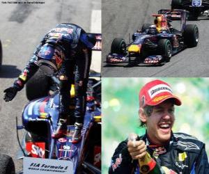 Puzle Sebastian Vettel celebra sua vitória no Grande Prêmio do Brasil (2010)