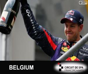 Puzle Sebastian Vettel comemora sua vitória no Grande Prémio do Bélgica 2013